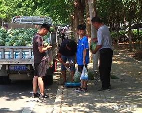 莒县吃瓜群众事件视频,一场网络舆论的风暴与反思