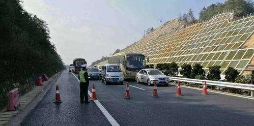 宁波鄞州吃瓜事故视频,惊险一幕引发社会关注