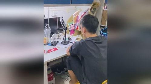 寝室吃瓜视频bgm,背景音乐带你领略青春旋律