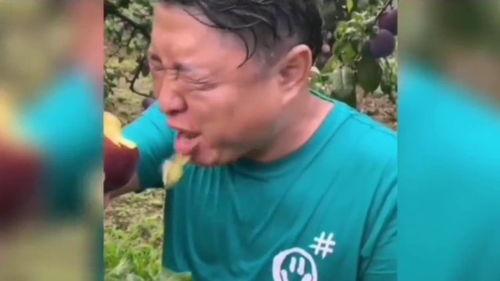 主播带货吃瓜搞笑视频,主播带货吃瓜大揭秘！