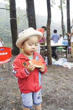 超级宝贝吃瓜视频在线观看,揭秘娱乐圈幕后故事