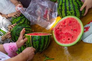 人家吃瓜视频,娱乐圈幕后故事大曝光