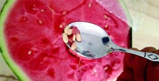 无籽瓜的白籽可以吃吗视频,可食用之谜