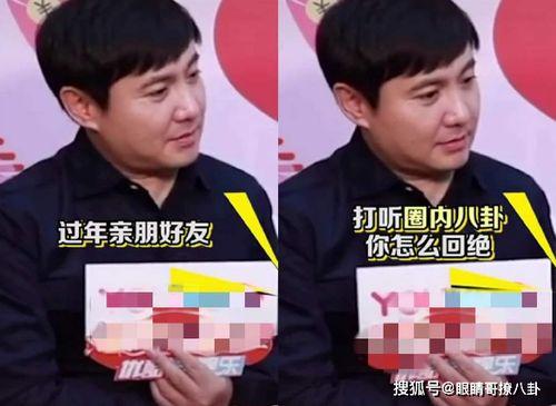 沈腾采访吃瓜视频大全,笑料百出，揭秘娱乐圈幕后趣事